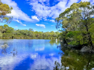 Blackburn Lake